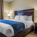 Comfort Suites Lake Geneva East - Motels