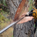 Bayman Tree Care - Tree Service