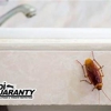 Dandi Guaranty Pest Solutions & Termite Protection gallery
