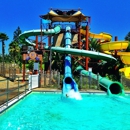 Splash! La Mirada Regional Aquatics Center - Swimming Pool Manufacturers & Distributors