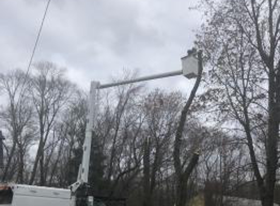 M&M Tree Service - Central Falls, RI