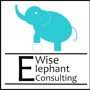 Wise Elephant Consulting