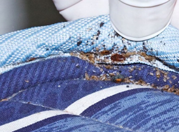 Peter's Carpet Cleaning - Maroubra, NSW