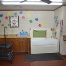 Chapin Pet Lodge Inc. - Hostels