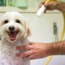 Animal Tender Pet Resort - Pet Services