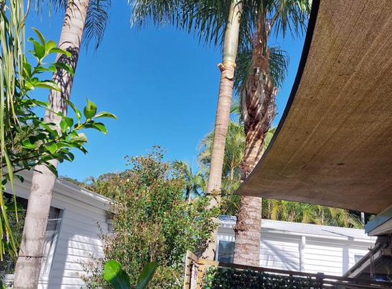 Grasslands Tree Service - Bensville, NSW