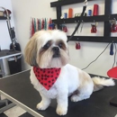 Posh Puppies Grooming By Marie & Carah - Pet Services