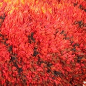 Gallery Image Number 8
