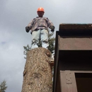 Mountain View Tree Service - Tree Service