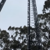 Gallery Image Number 2