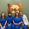 CityVet | Alexandria King Street Veterinary Clinic & Urgent Care gallery