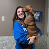VCA Smoketown Animal Hospital gallery