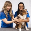 CityVet | Verrado Veterinary & Urgent Care gallery