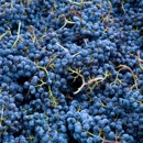 Jaffe Family Wines - Bars