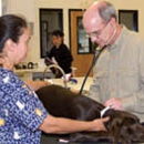 Newport Harbor Animal Hospital - Veterinarians