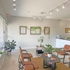 The Sanctuary Wellness Institute gallery