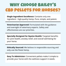 Bailey's CBD For Pets - Pet Services