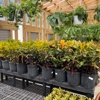 Huck's Home & Garden gallery