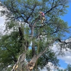 Burleson Tree Care