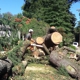 Schneider Tree Care - Charlotte