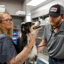 Livewell Animal Hospital of Little Elm - Veterinarians