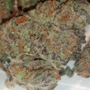 Kind Love Dispensary - Herbs