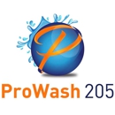 ProWash 205 - Power Washing