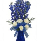 Fox's Floral & Gifts