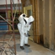 Water and Mold Removal