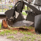 Bauer's Tree and Stump Removal