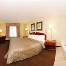 Quality Inn - Motels