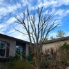 Guardian Stone and Tree Care gallery