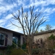 Guardian Stone and Tree Care