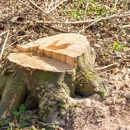 Brothers Tree service & Landscaping - Landscape Designers & Consultants