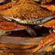 Abners Crab House