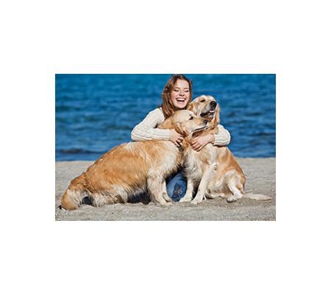 The Vet Group - Warrnambool, VIC