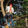 J & B Tree Service gallery