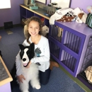 Taylor Animal Hospital of Parkville - Veterinarians