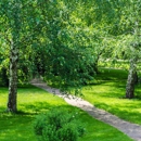 JC Tree Care - Tree Service