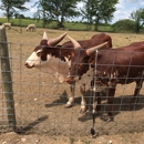 Big Joel's Safari Petting Zoo & Educational Park - Petting Zoos