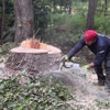 Triple A Tree Service gallery