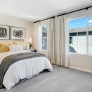 Talise at Highland Park By Richmond American Homes - Home Builders