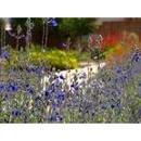 Waterwise Landscapes - Landscape Designers & Consultants