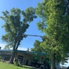 Fredy's Tree Service gallery