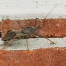 Brogan's Pest Solutions - Pest Control Equipment & Supplies