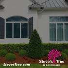 Steve's Tree and Landscape