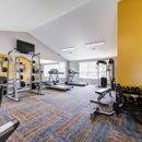 Chason Ridge Apartment Homes - Apartments