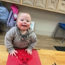 Chesterbrook Academy Preschool of Alexandria - Day Care Centers & Nurseries