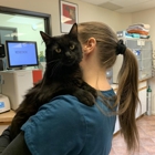 Animal Wellness Ctr