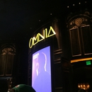 OMNIA Nightclub - Clubs